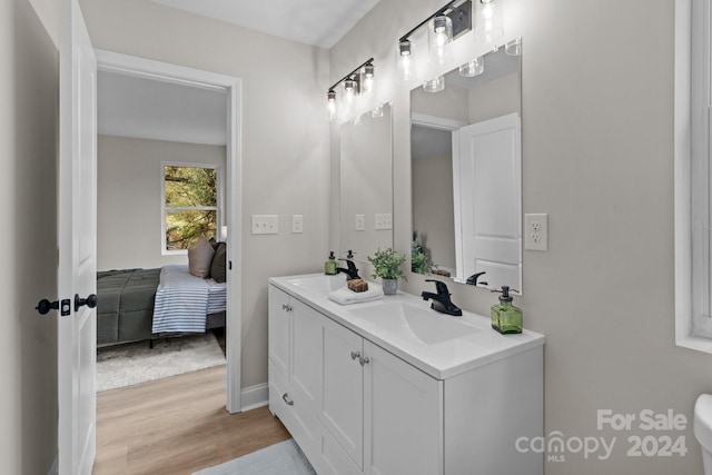 bathroom featuring wood-type flooring and vanity