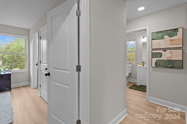 corridor with a wealth of natural light and light hardwood / wood-style flooring