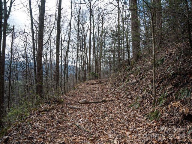 Listing photo 2 for 00 Owens Rd, Waynesville NC 28785