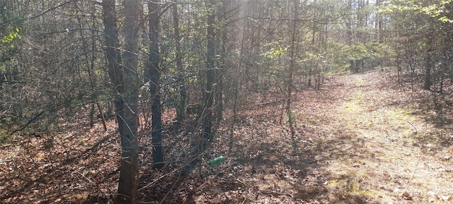 Listing photo 3 for LOT2 Lane St Unit 2, Morganton NC 28655