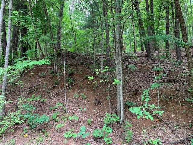 LOT49-50 Mckenzie Way S, Old Fort NC, 28762 land for sale