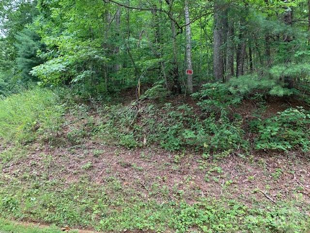 Listing photo 2 for LOT49-50 Mckenzie Way S, Old Fort NC 28762