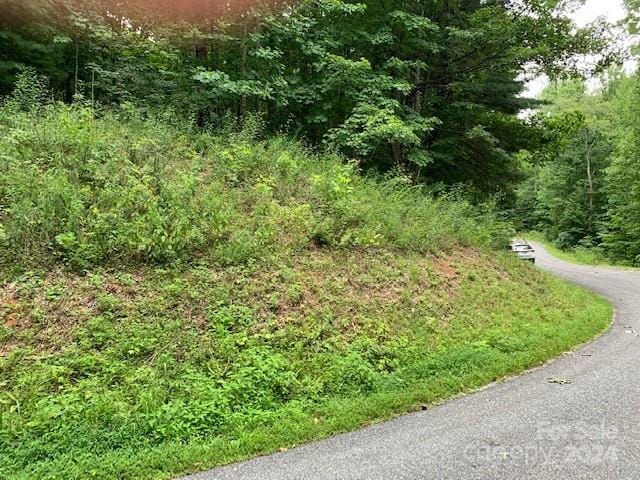 Listing photo 3 for LOT49-50 Mckenzie Way S, Old Fort NC 28762