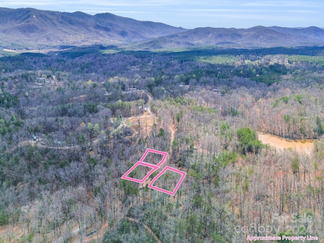 000 Forester Lane 21, 24, & 25, Mill Spring NC, 28756 land for sale