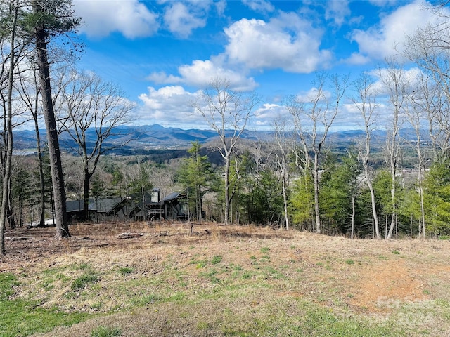 18 Giffords Ln Unit 14, Asheville NC, 28803 land for sale