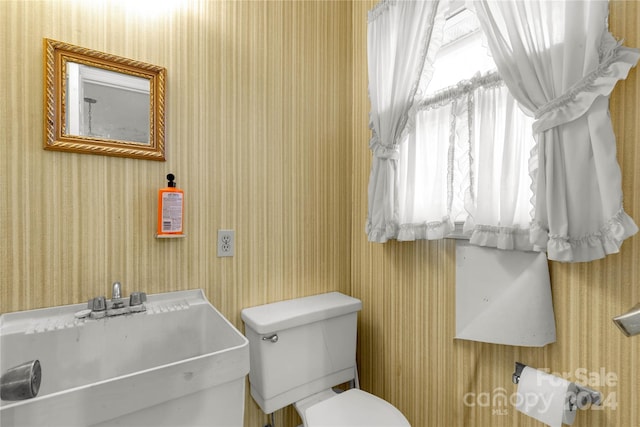 bathroom featuring sink and toilet