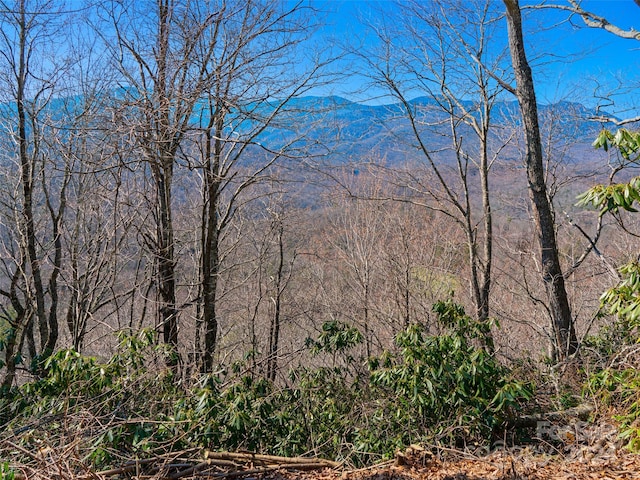 000 Big Ridge Rd Unit 69, Burnsville NC, 28714 land for sale