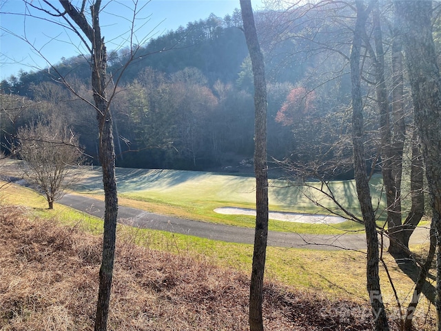 LOT16 Trillium Ridge Rd, Cullowhee NC, 28723 land for sale