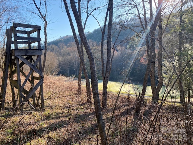 Listing photo 2 for LOT16 Trillium Ridge Rd, Cullowhee NC 28723