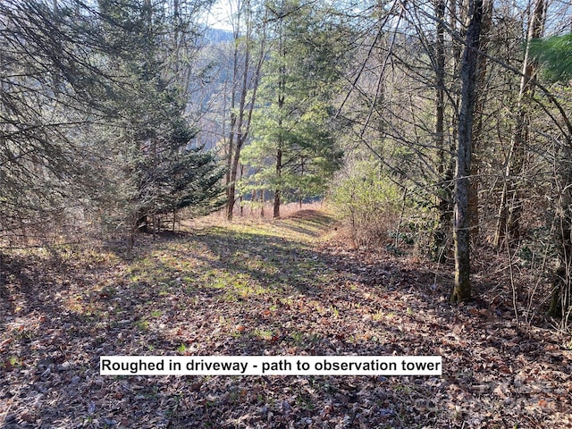 Listing photo 3 for LOT16 Trillium Ridge Rd, Cullowhee NC 28723