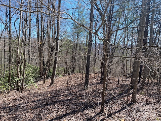 LOT22 N Ridge Dr, Marion NC, 28752 land for sale