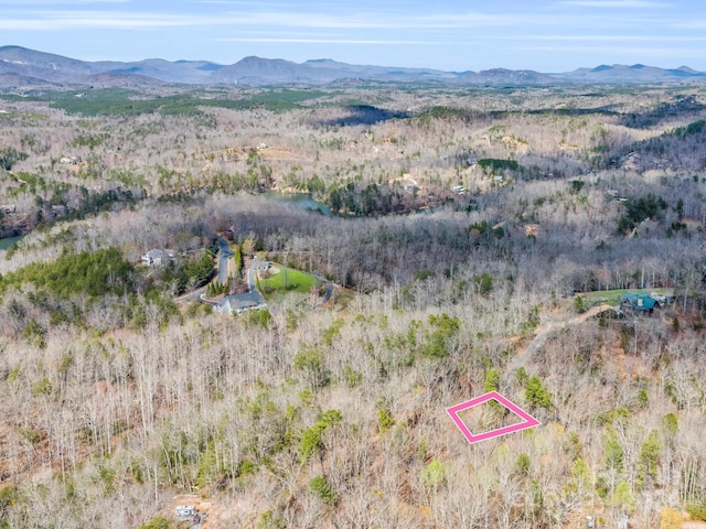 000 Forester Ln Unit 24, Mill Spring NC, 28756 land for sale