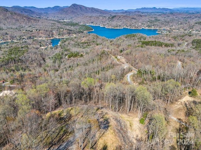 Listing photo 2 for 000 Clear Creek Trl Unit 30, Lake Lure NC 28746