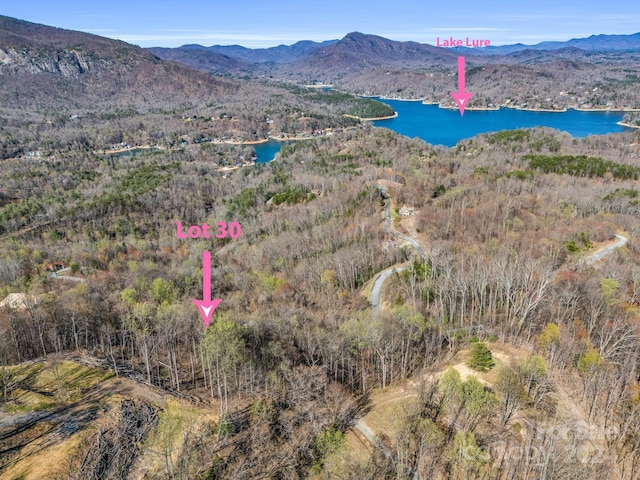 000 Clear Creek Trl Unit 30, Lake Lure NC, 28746 land for sale