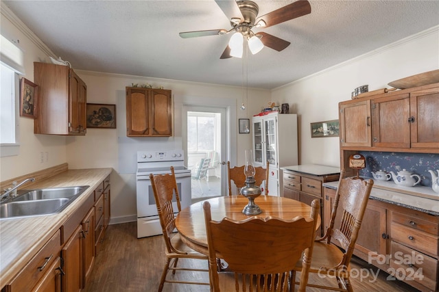 kitchen with ceiling fan, dark wood-type flooring, sink, a textured ceiling, and white electric range