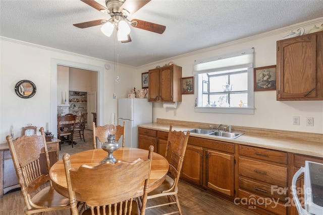 dining room featuring dark hardwood / wood-style flooring, ceiling fan, a textured ceiling, and sink