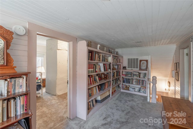 sitting room featuring carpet flooring