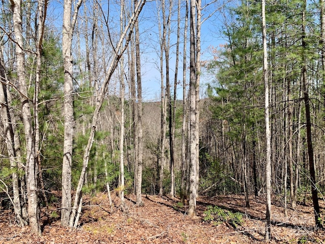 Listing photo 2 for LOT34 Poplar Bluff Dr Lot 34, Lenoir NC 28645