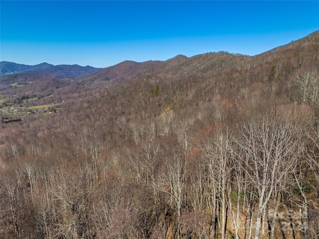 Listing photo 3 for 0 Macs High Rd, Canton NC 28716