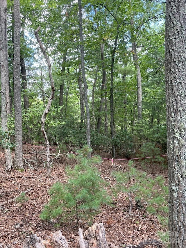 Listing photo 2 for TBD Brevard Rd Lot 3, Arden NC 28704