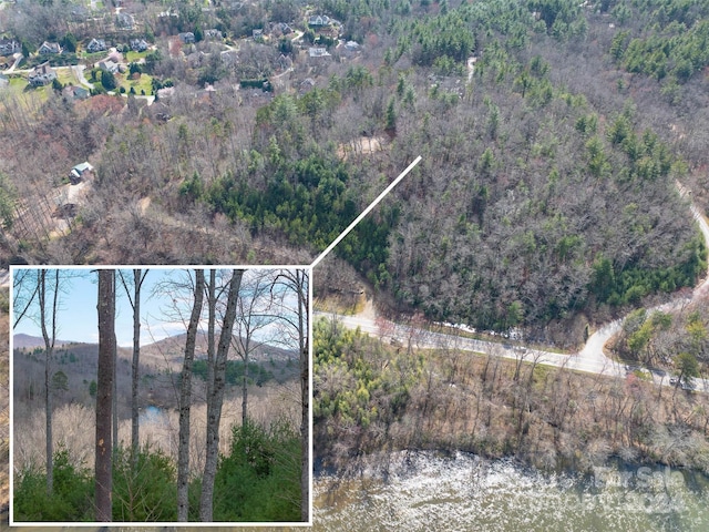 TBD Brevard Rd Unit 2, Arden, NC 28704