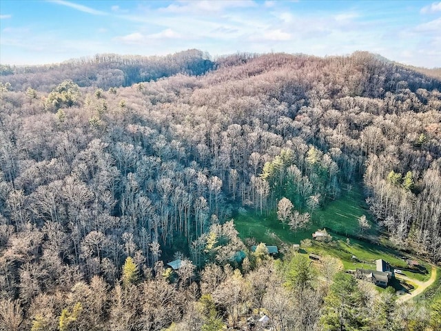 9999 Battle Creek Rd, Hendersonville NC, 28792 land for sale