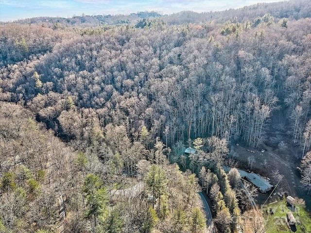 Listing photo 3 for 9999 Battle Creek Rd, Hendersonville NC 28792