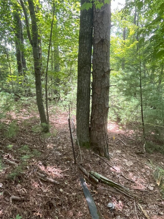 00 Brevard Rd Unit 1, Arden, NC 28704 - photo 2
