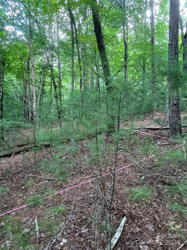 00 Brevard Rd Unit 1, Arden, NC 28704 - photo 3