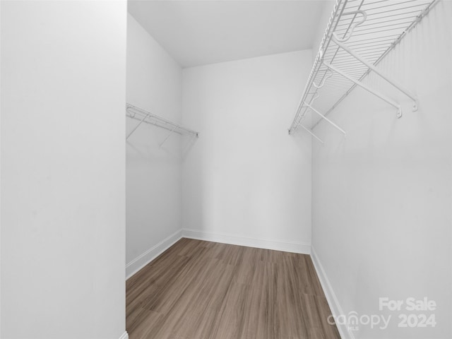 spacious closet featuring hardwood / wood-style floors