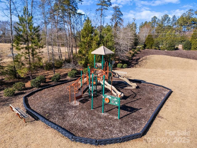 view of jungle gym