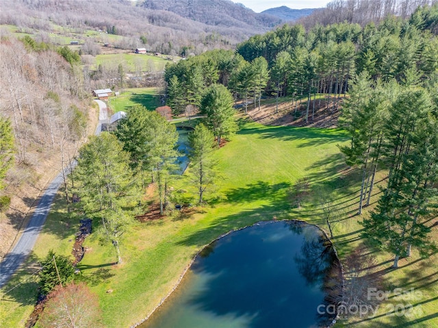 bird's eye view featuring a water and mountain view and a rural view