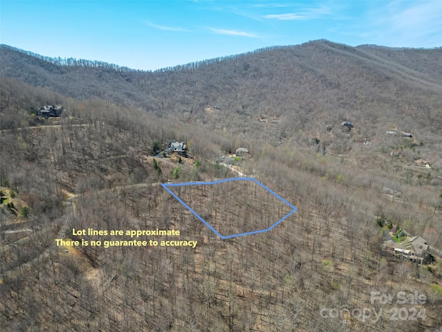 1316 Double Knob Dr, Arden, NC 28704