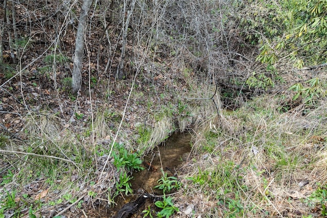 view of local wilderness featuring a water view