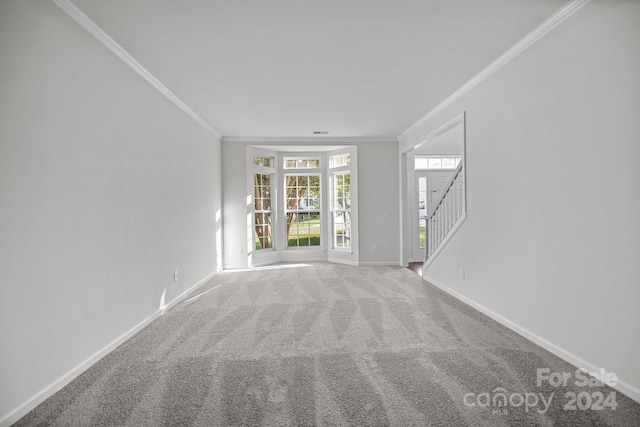 spare room with carpet floors and crown molding