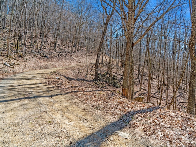 Listing photo 3 for 00 Tearshirt Ln Unit 308/309, Mars Hill NC 28754