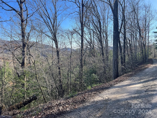 0000 Younce Creek Rd, Franklin NC, 28734 land for sale