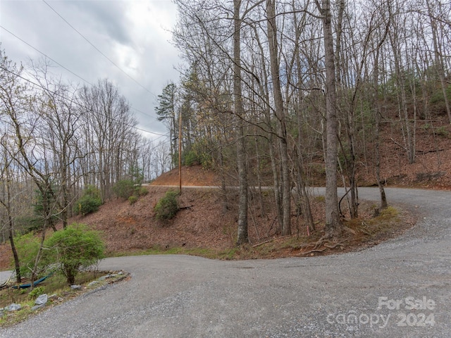 Listing photo 2 for 74 Quest Rdg, Sylva NC 28779