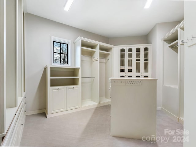 spacious closet featuring light carpet