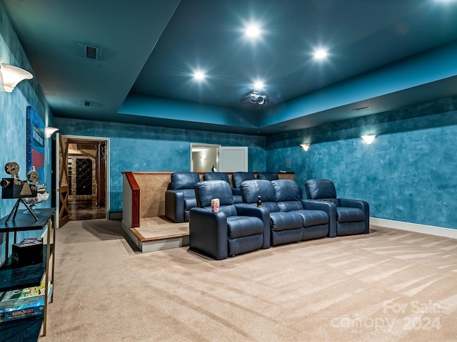 carpeted cinema featuring a raised ceiling