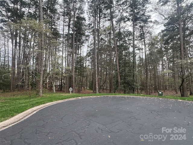 123 Coggins Mine, New London NC, 28127 land for sale