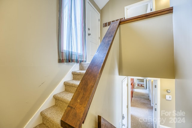 staircase featuring light carpet