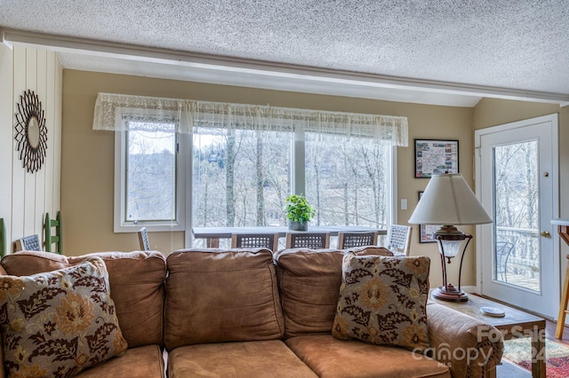 living room with a textured ceiling