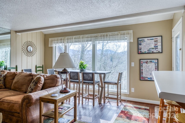 living room with a textured ceiling and light hardwood / wood-style flooring