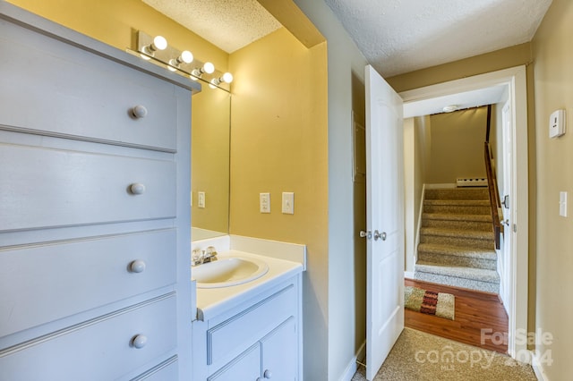 bathroom with vanity, a textured ceiling, and wood-type flooring