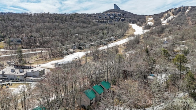 drone / aerial view featuring a mountain view