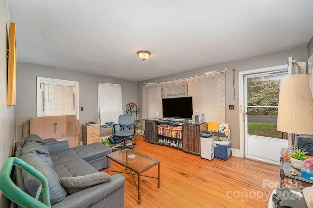 living room with light wood-type flooring