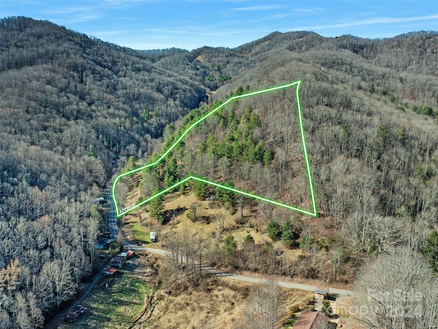 00 Bee Log Rd, Burnsville NC, 28714 land for sale