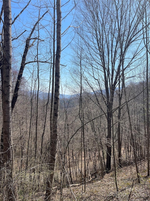 000 Trotters Trl, Waynesville NC, 28785 land for sale