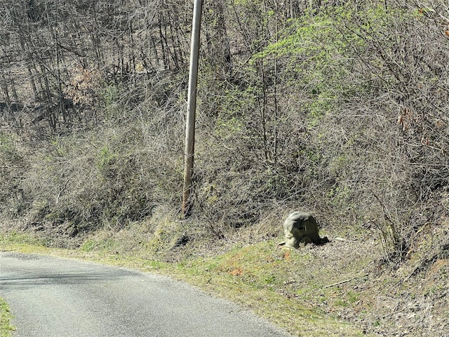 Listing photo 3 for 000 Trotters Trl, Waynesville NC 28785